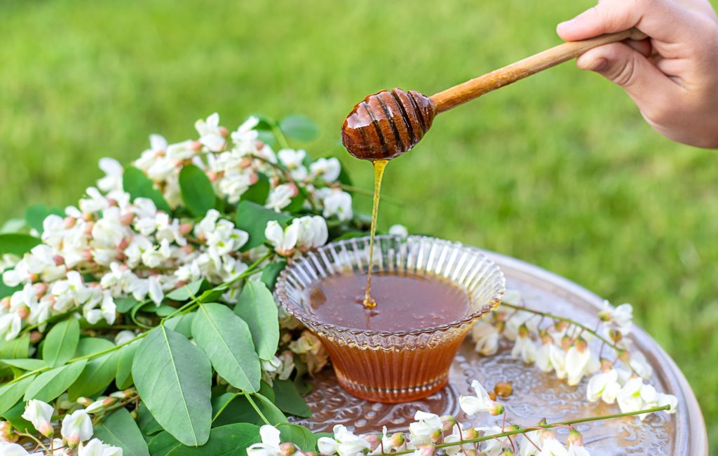 Honey from acacia in the garden. Selective focus. Nature.
