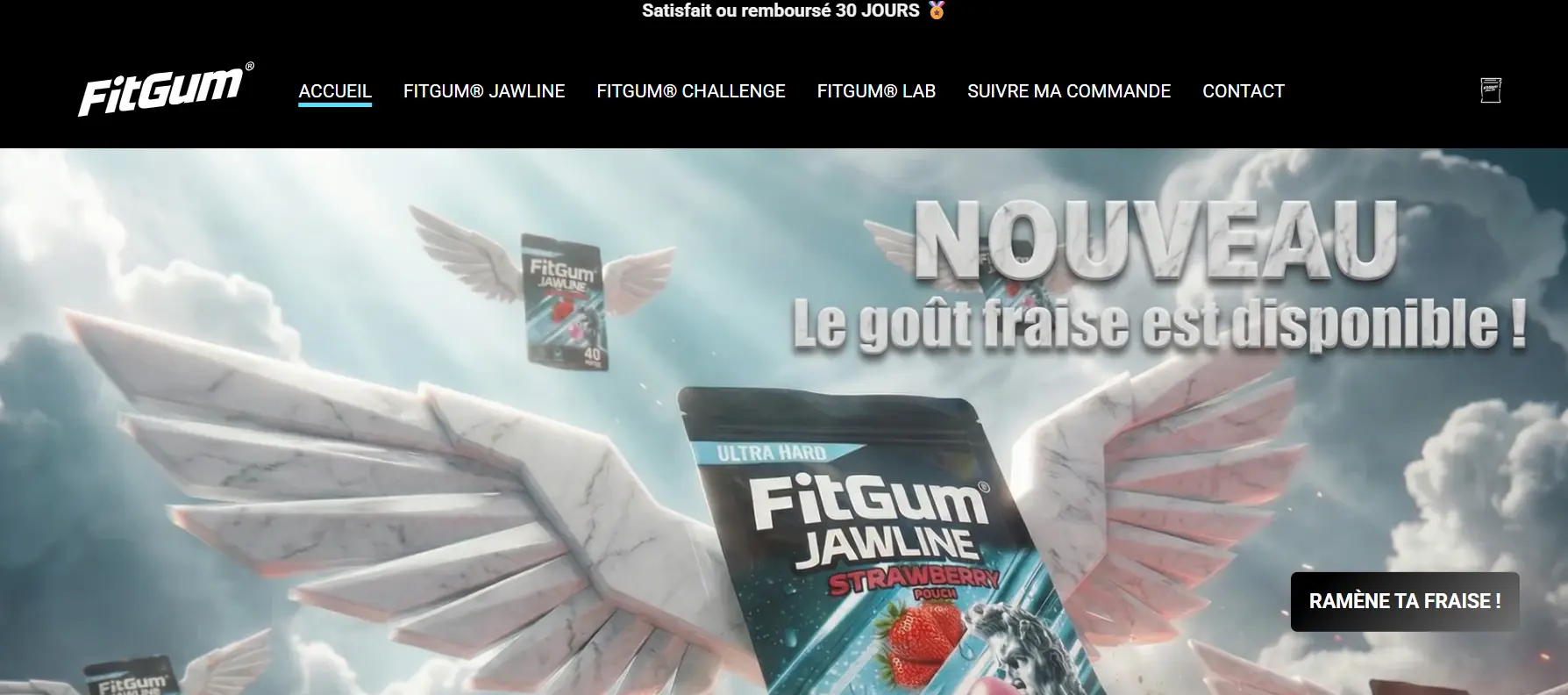 Quels sont les avis sur Fitgum Jawline ?