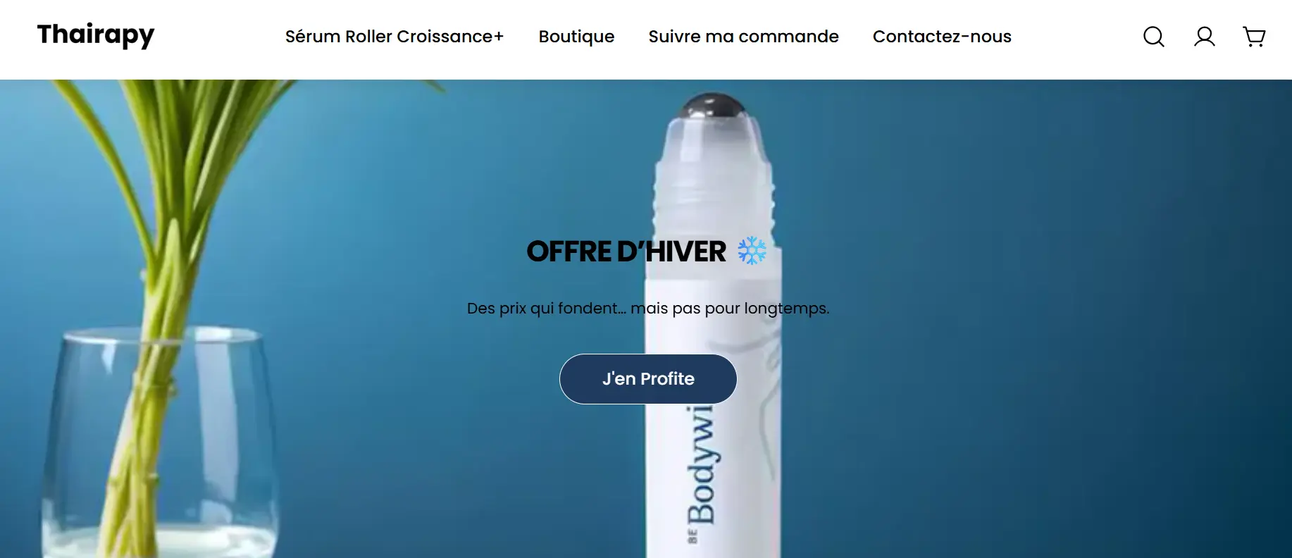 Quels sont les avis sur Thairapy ?